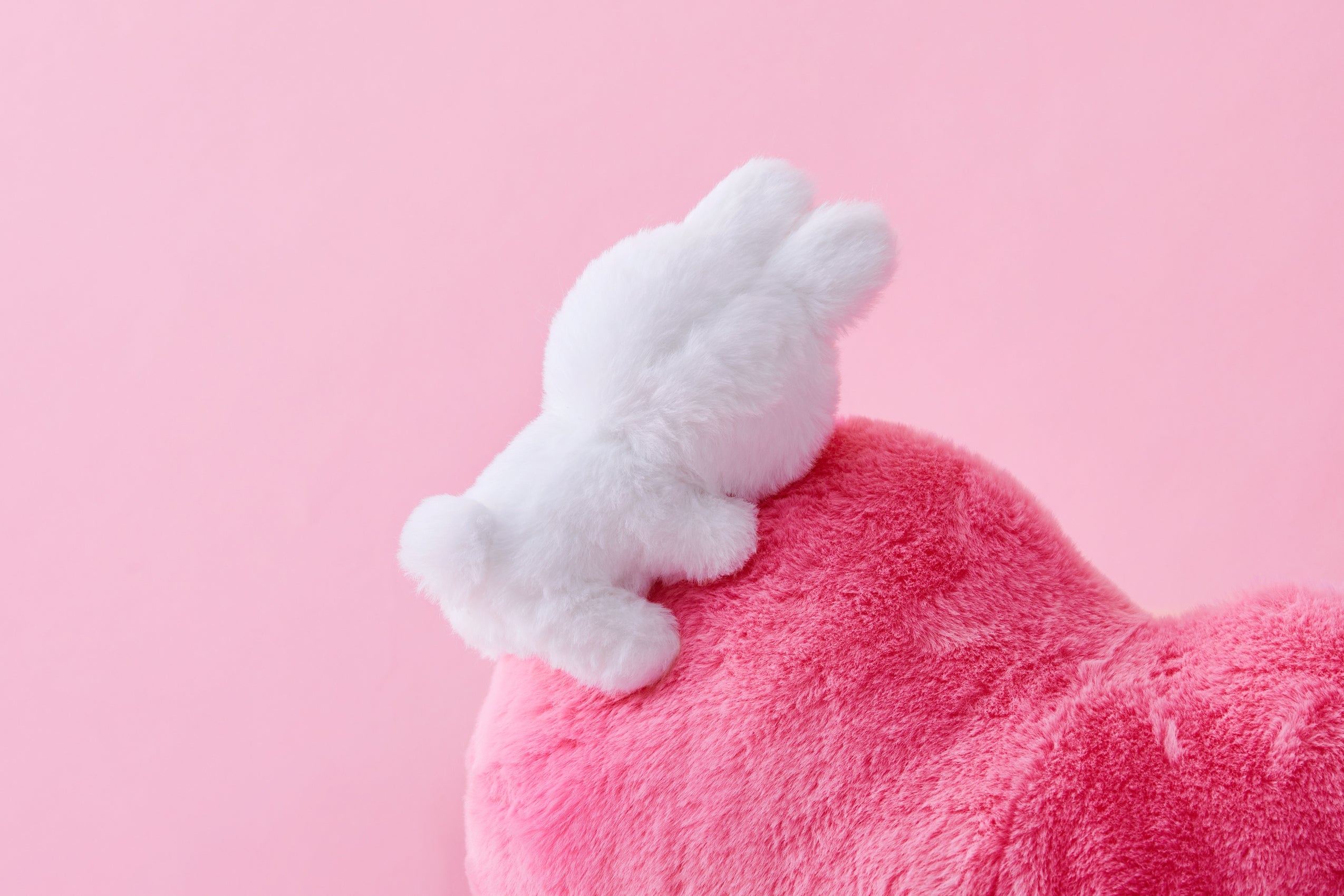 BUWON B.B.RABBIT CUSHION [IPX ART COLLECTION]