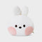 LINE FRIENDS MININI CONINI FACE CUSHION VER. 2