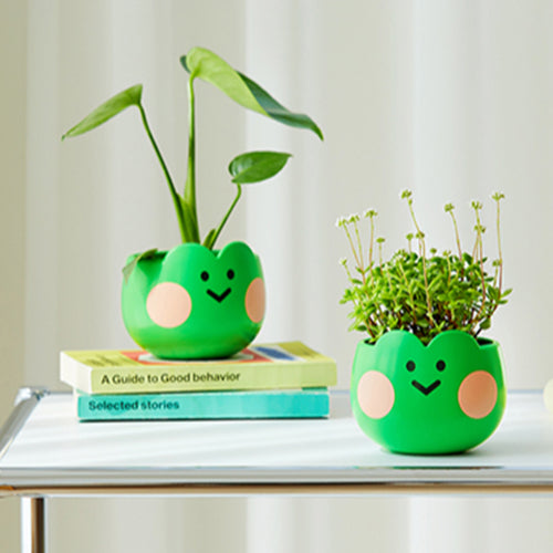 LINE FRIENDS GREENERY LENINI PLANT POT